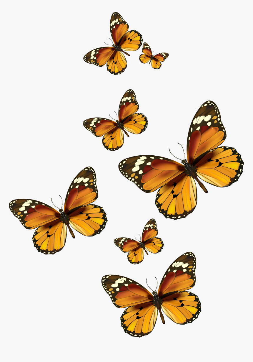 Butterflies Vector Png Clipart Pictureu200b Gallery - Painted Lady Butterfly Clip Art, Transparent Png, Free Download