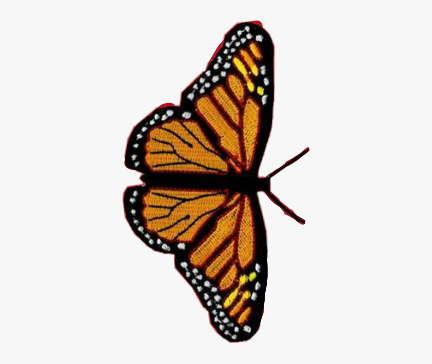 Butterfly Vsco Monarch Edits Pretty Remix Aesthetic Iphone