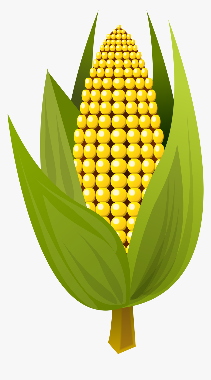 Corn Vector Clipart Image - Corn Clipart, HD Png Download, Free Download