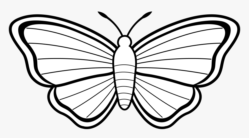 Butterfly Wings Black White Clipart - Colouring Picture Of Butterfly, HD Png Download, Free Download