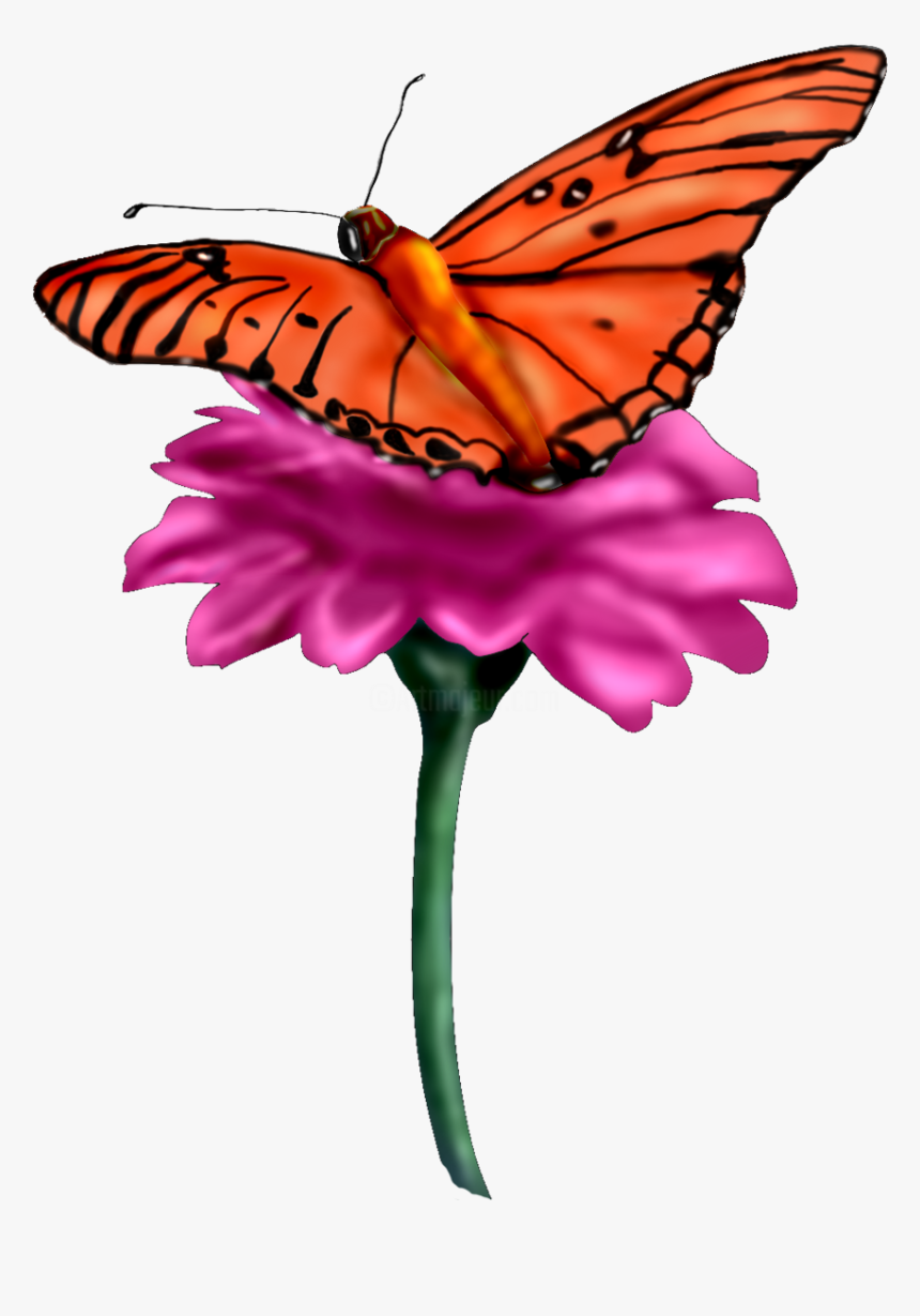 Transparent Monarch Clipart - Borboleta Png, Png Download, Free Download