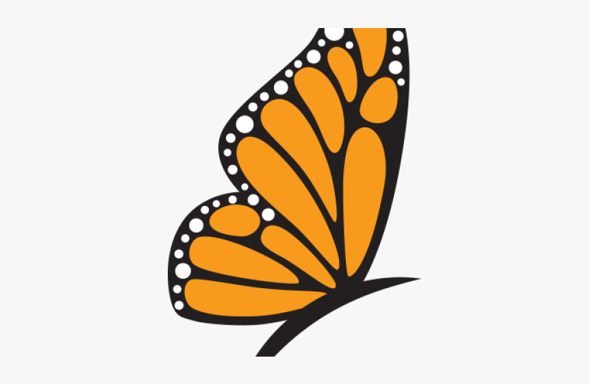 Monarch Butterfly Clipart Egg - Monarch Butterfly, HD Png Download, Free Download