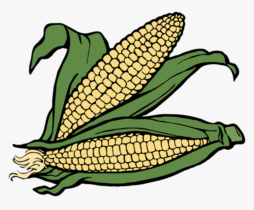 Field Clipart Maize Field - Corn Clipart, HD Png Download, Free Download