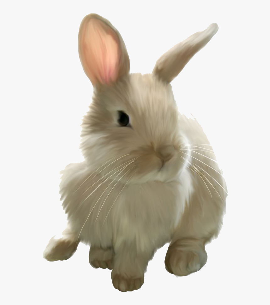 Easter Bunny Rabbit Clip Art - Bunny Png, Transparent Png, Free Download