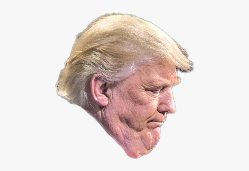 Donald Trump Trump Tower United States - Donald Trump Neck Tuck, HD Png Download, Free Download