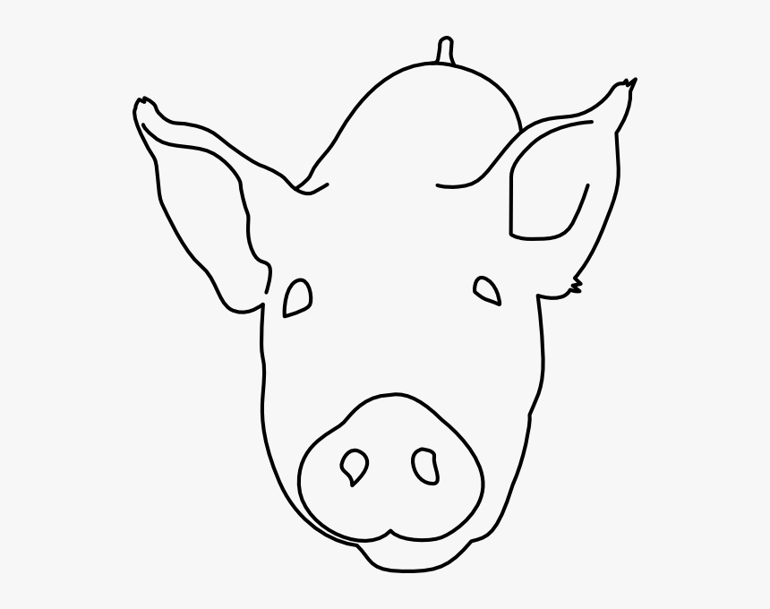 Transparent Pig Head Png - Draw A Pig Head, Png Download, Free Download