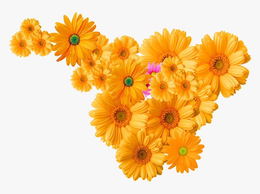 Flower Chrysanthemum Icon - Group Of Flowers Png, Transparent Png, Free Download