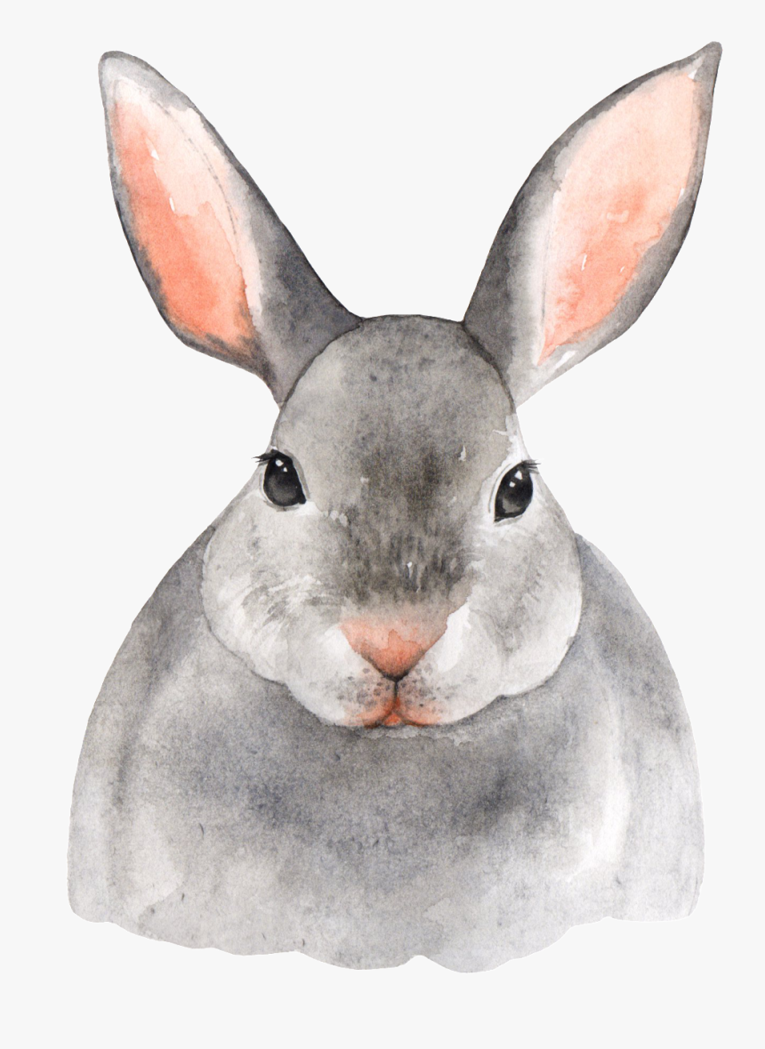 Hand Painted Gray Rabbit Png Transparent - Happy Birthday Bunny Rabbit, Png Download, Free Download