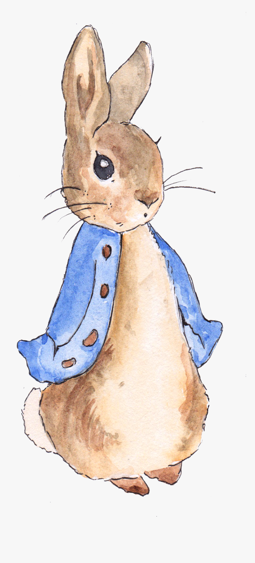 Peter Rabbit, HD Png Download, Free Download