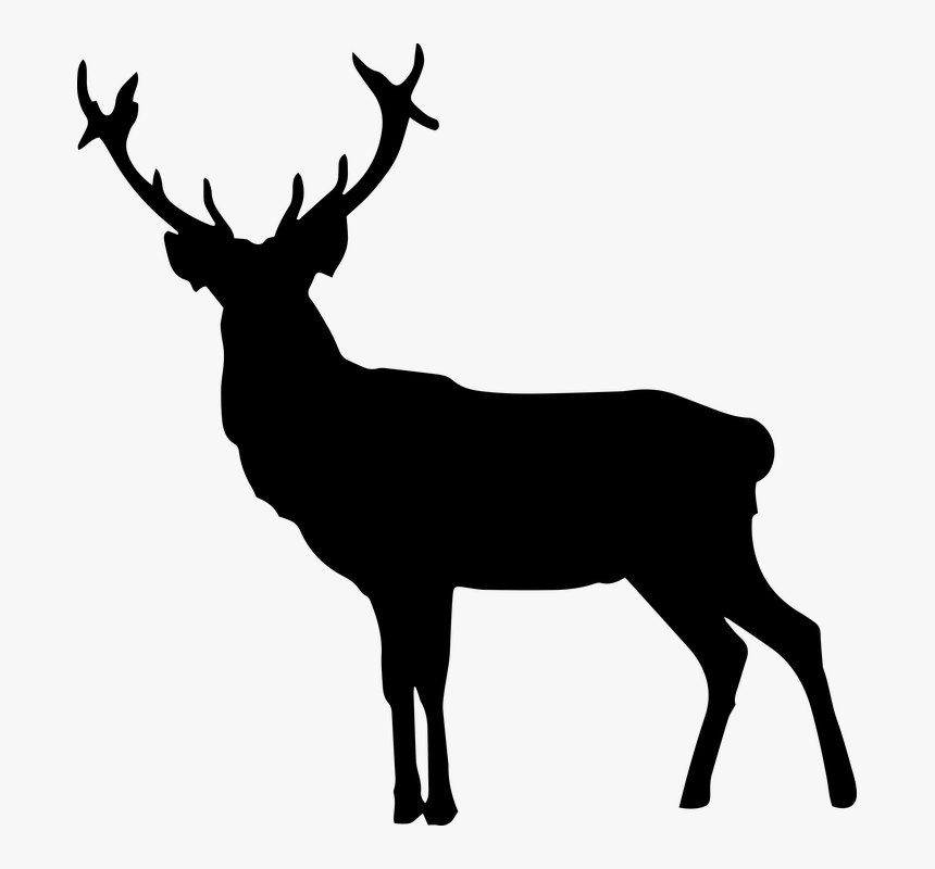 Deer Silhouette, Deer, Stag, Animal, Nature, Reindeer - Silhouette Of An Elk, HD Png Download, Free Download