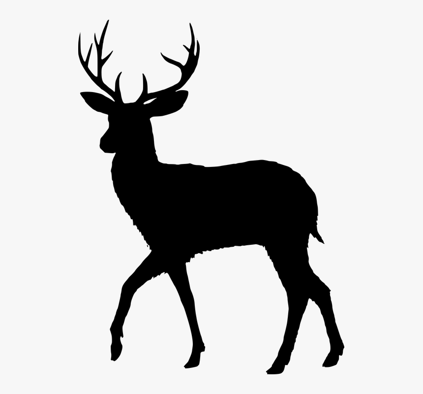 Antelope - Transparent Background Deer Silhouette Png, Png Download, Free Download