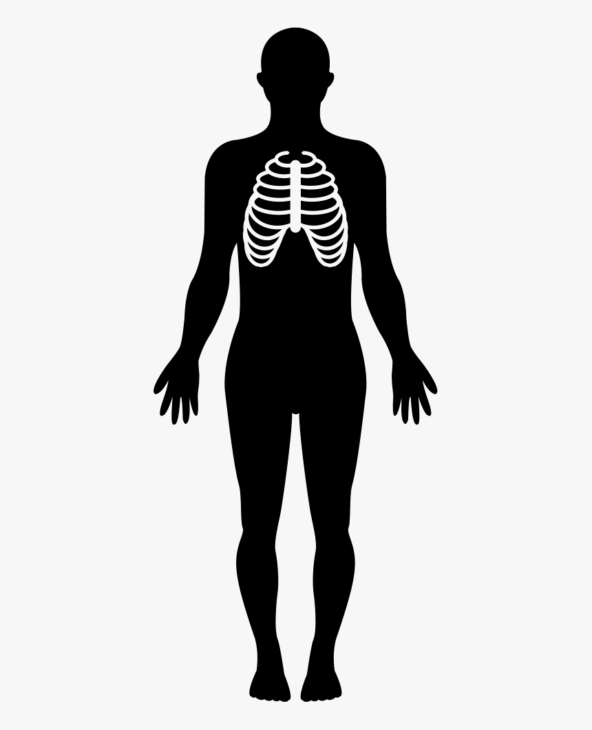 Human Silhouette Png - Standing Human Body Silhouette, Transparent Png, Free Download