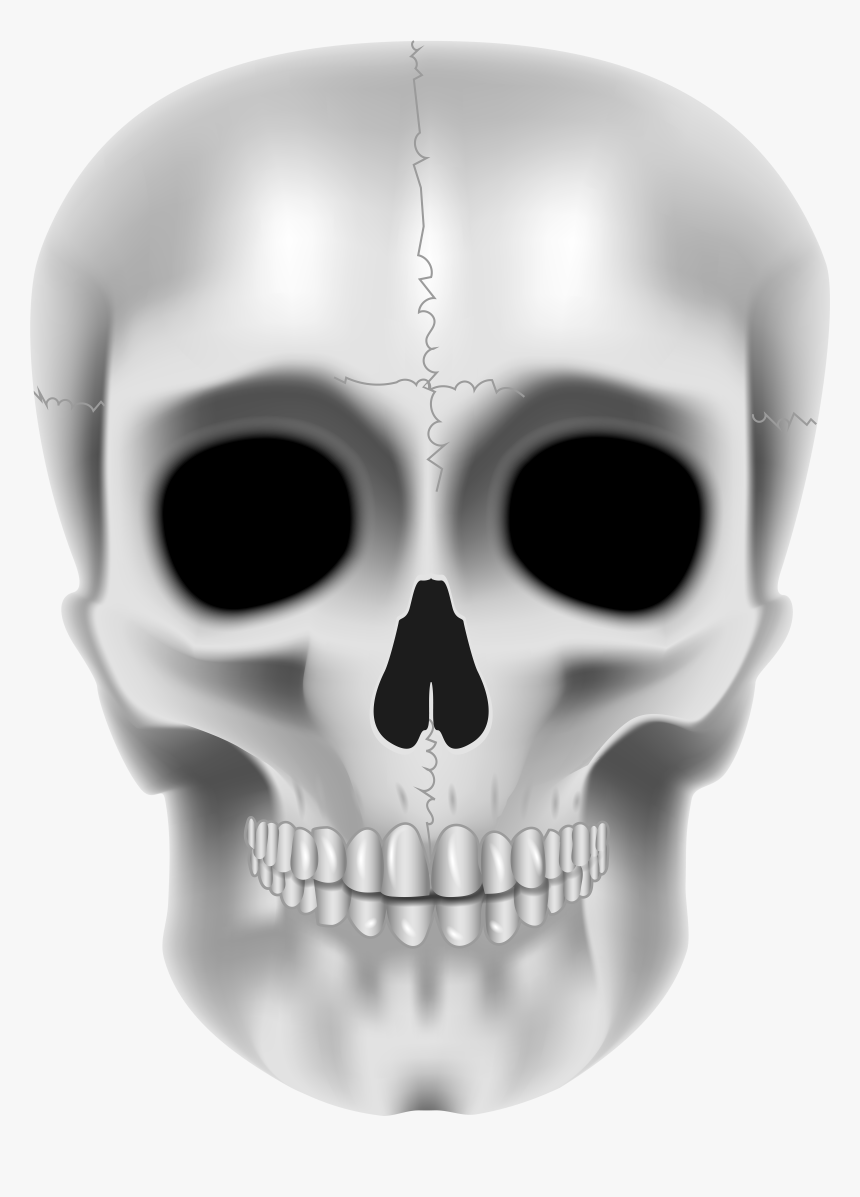 Transparent Realistic Skull Clipart - Skeleton Face Png, Png Download, Free Download
