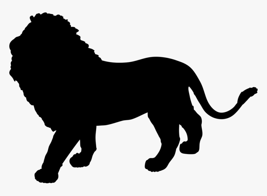 Lion, Cat, The Mane, Big Cat, Feral Cat, Nature, Fauna - Lion, HD Png Download, Free Download