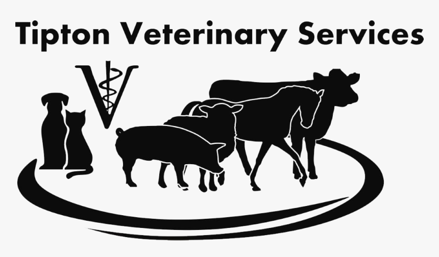 vet clip art black