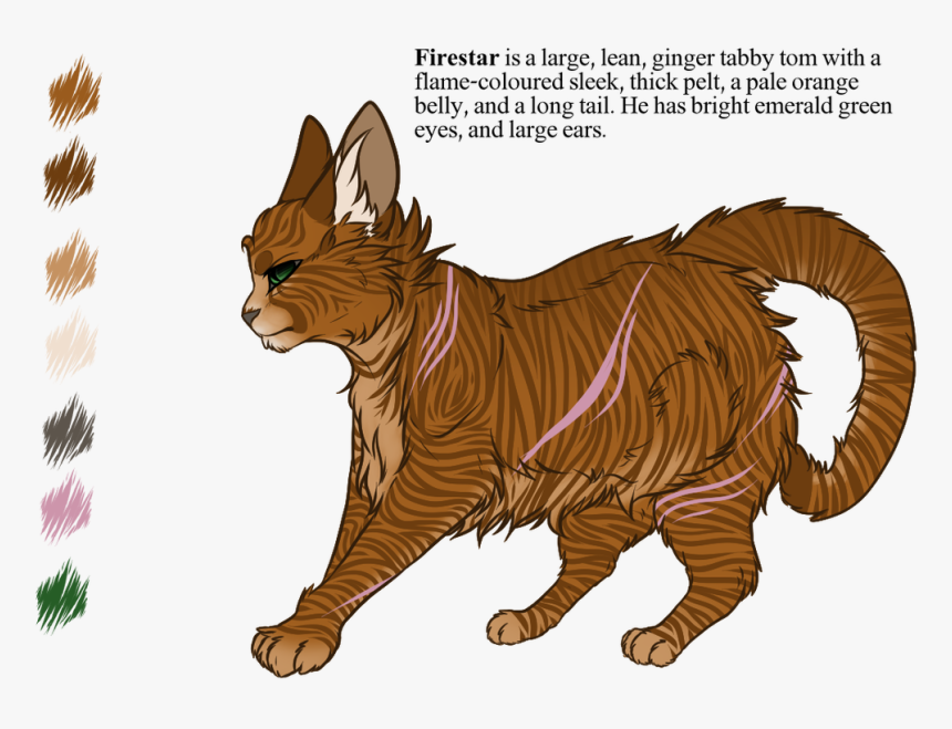 Cat Clipart Tabby - Warrior Cats Firestars Eyes, HD Png Download, Free Download