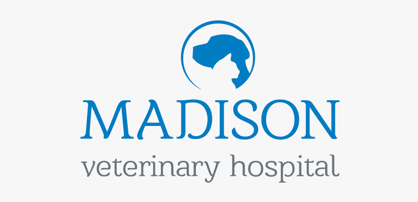 Madison Veterinary Hospital - Graphic Design, HD Png Download, Free Download