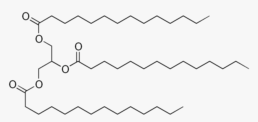 Skeletal Formula Of Trimyristin - Stearin Structure, HD Png Download, Free Download