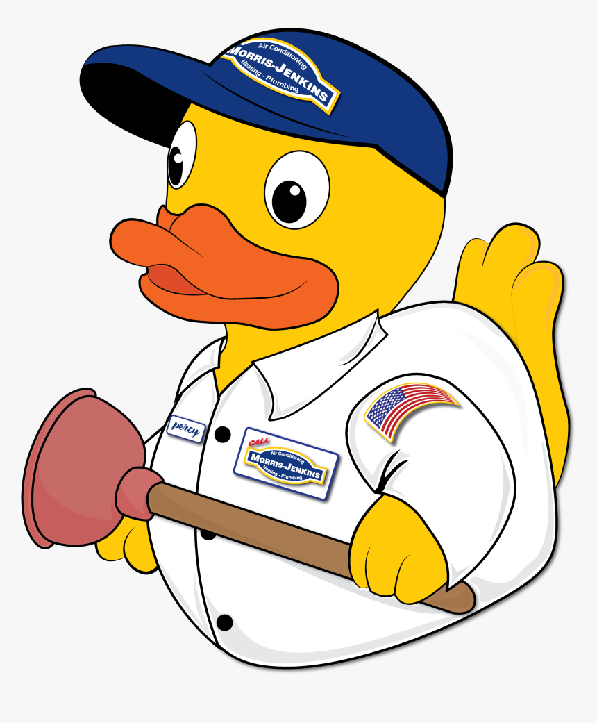 Duck, HD Png Download, Free Download