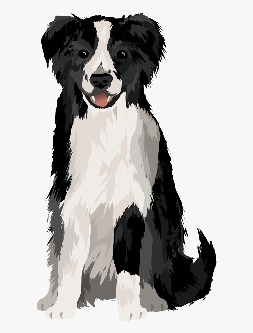 Border Collie, HD Png Download, Free Download