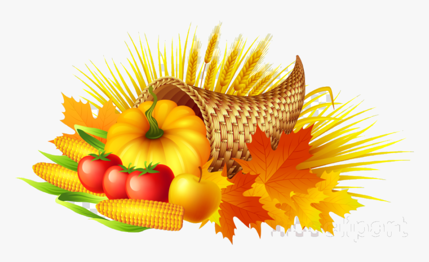 Cornucopia Thanksgiving Flower Sunflower Transparent - Cornucopia Clipart Transparent, HD Png Download, Free Download