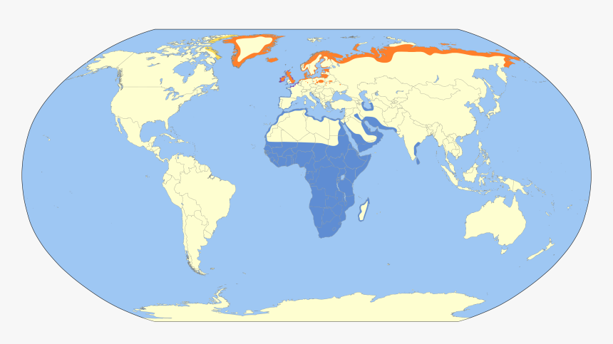 Free Large World Map, HD Png Download, Free Download