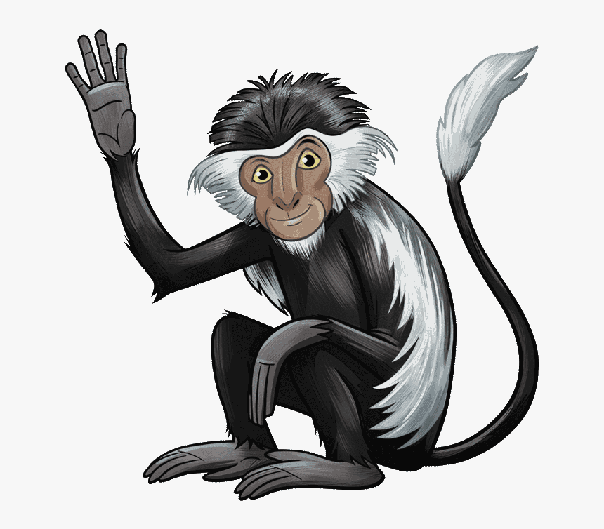 Transparent Spider Monkey Png - Colobus Monkey Png, Png Download, Free Download