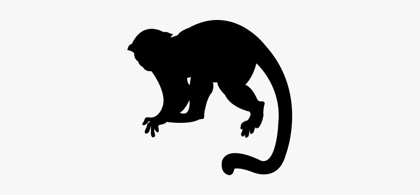 Monkey Silhouette Png, Transparent Png, Free Download