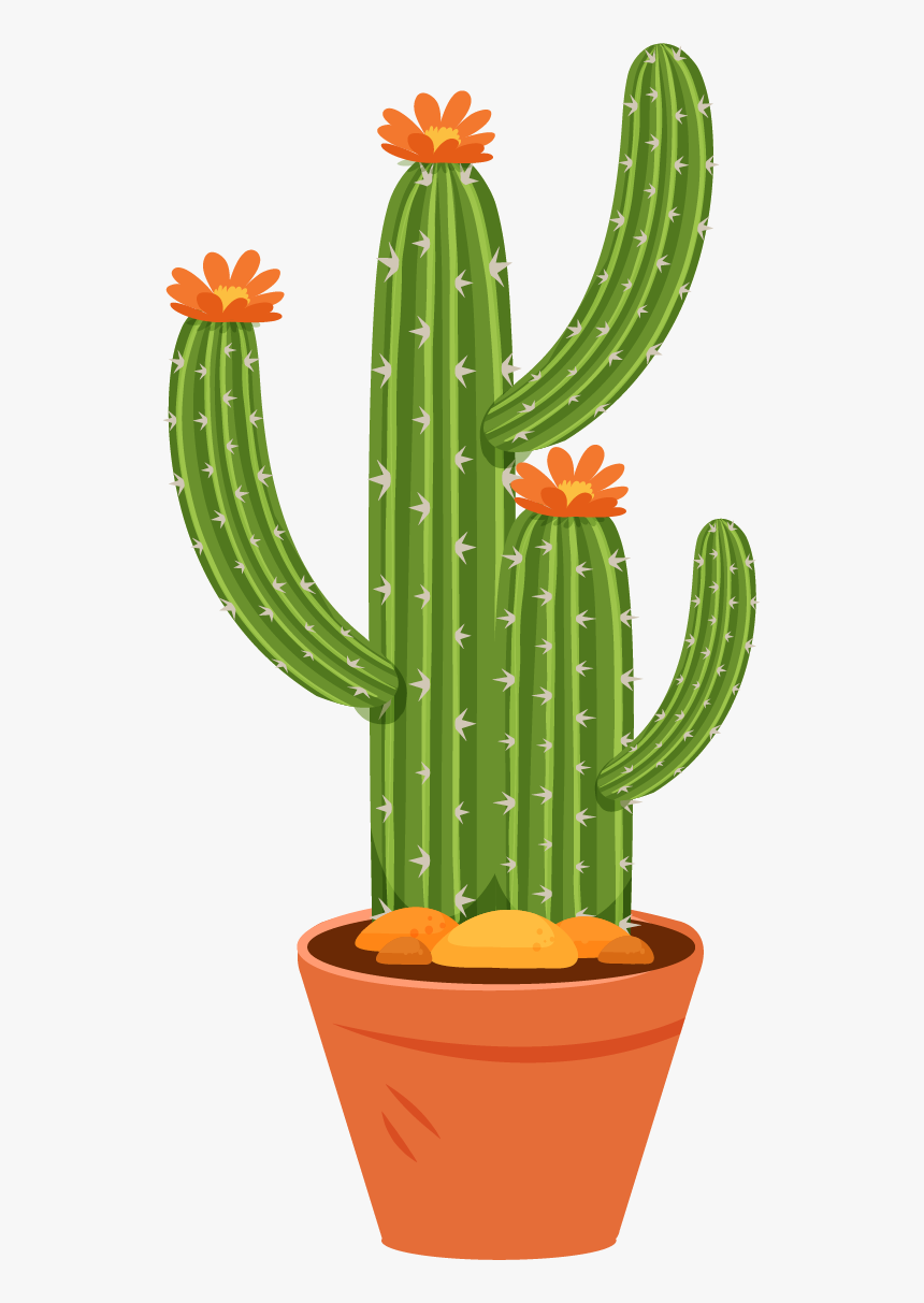 Large-flowered Cactus, HD Png Download, Free Download