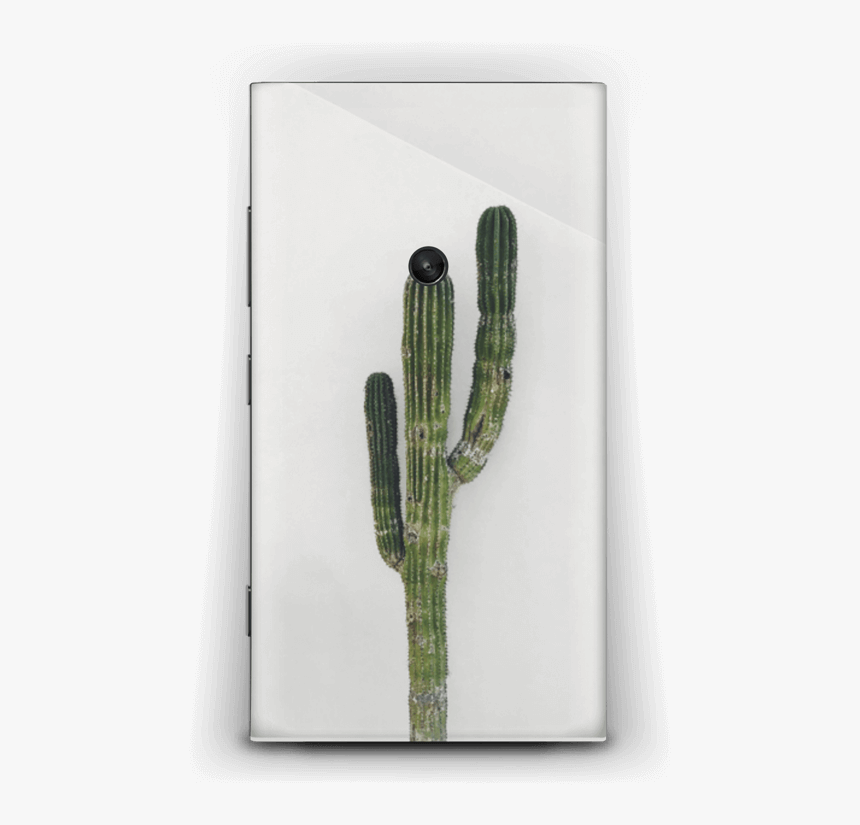 Mexican Cactus Skin Nokia Lumia - Weberocereus, HD Png Download, Free Download