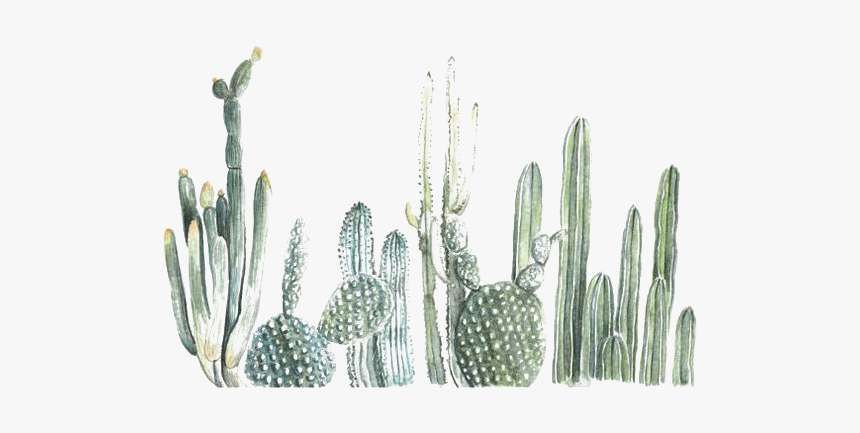 Cactus Watercolour, HD Png Download, Free Download