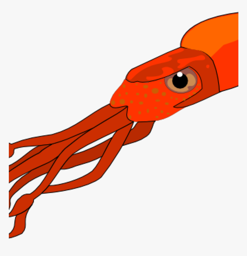 Cupcake Cartoon Drawing 57 Squid Squid Clipart Free - Squid Clip Art, HD Png Download, Free Download