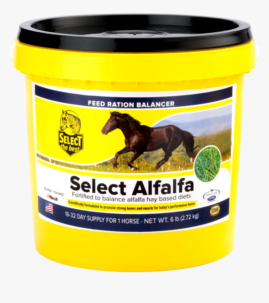 Transparent Alfalfa Png - Horse, Png Download, Free Download