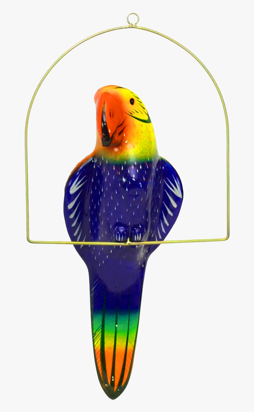 Budgie, HD Png Download, Free Download