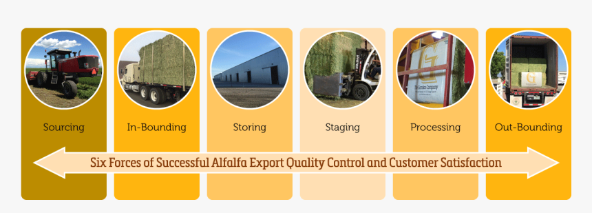 Alfalfa Export Quality Control Six Forces - Circle, HD Png Download, Free Download