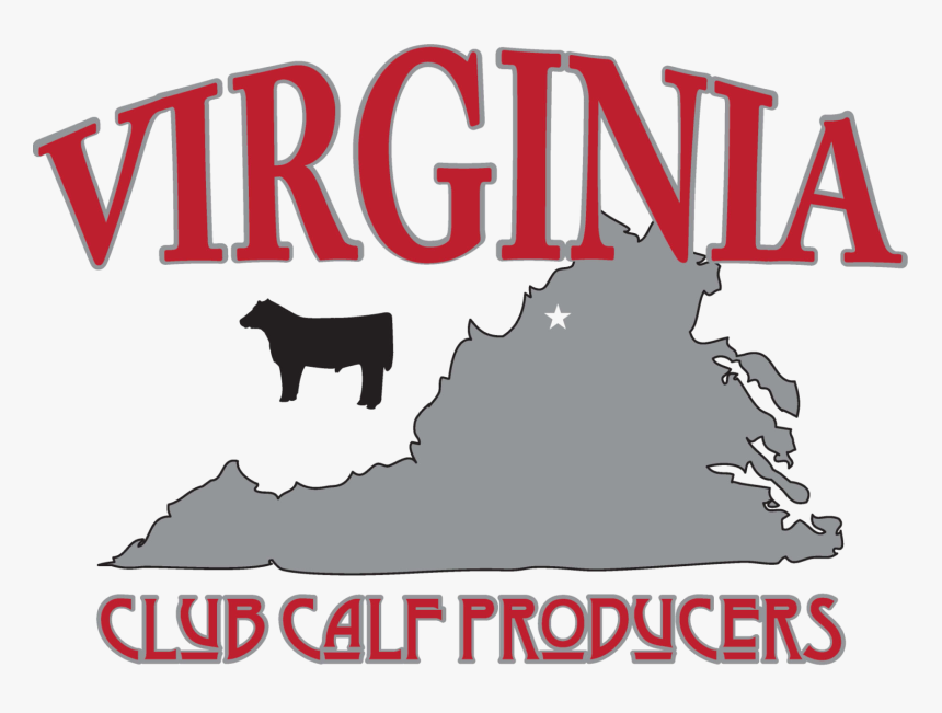 Virginia Club Calf Producers, HD Png Download, Free Download