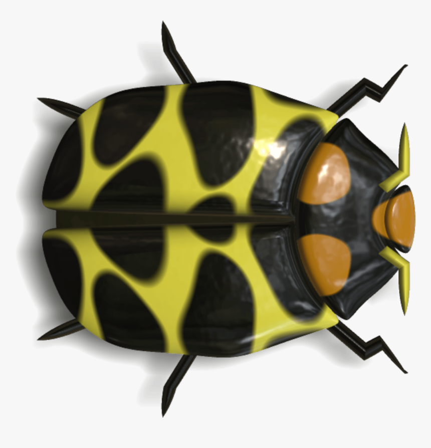 Ladybug Black And Yellow - Ladybird Beetle, HD Png Download, Free Download