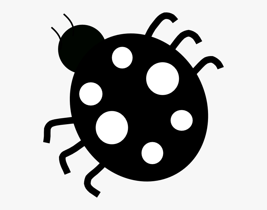 Transparent Ladybugs Png - Black Ladybug Clipart, Png Download, Free Download