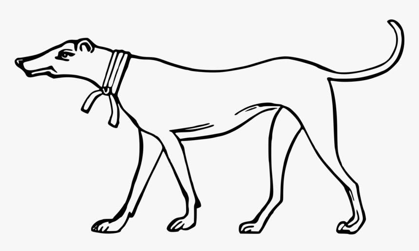 Carnivoran,dog Breed,dog Like Mammal - Dog, HD Png Download, Free Download