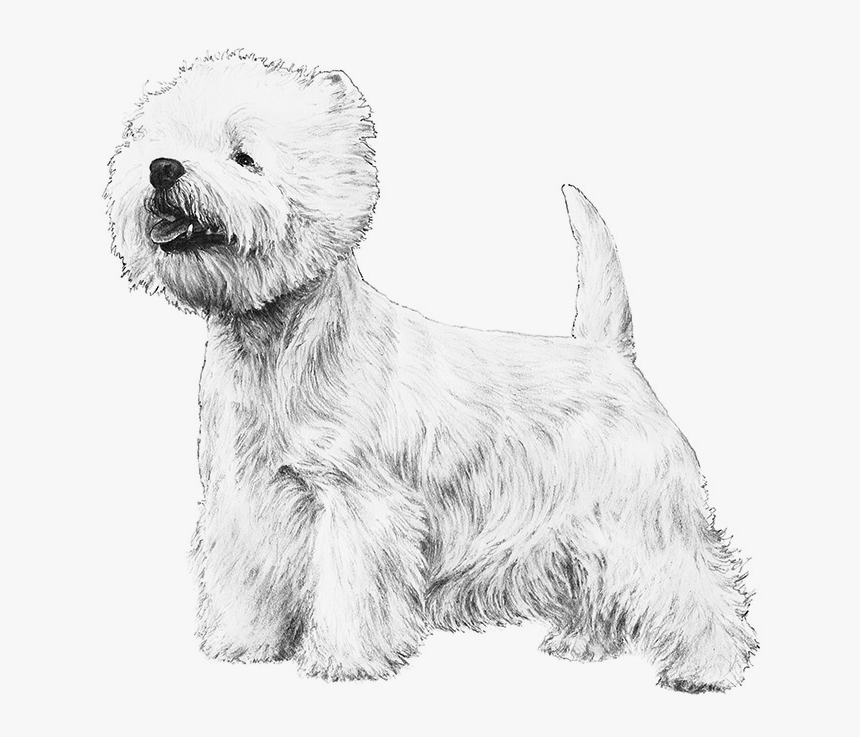 Transparent Toto Dog Clipart - Rubber West Highland White Terrier, HD Png Download, Free Download