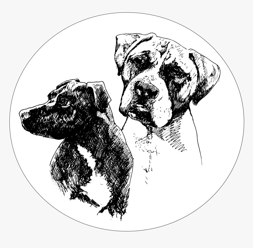 Dog Dog Madison - Ancient Dog Breeds, HD Png Download, Free Download