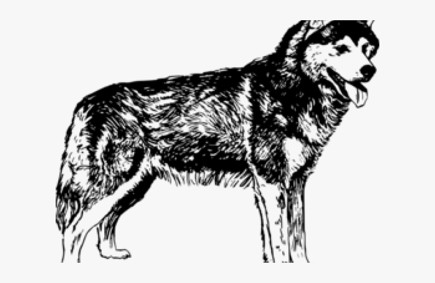 Siberian Husky Clipart Png - Black And White Husky Png, Transparent Png, Free Download