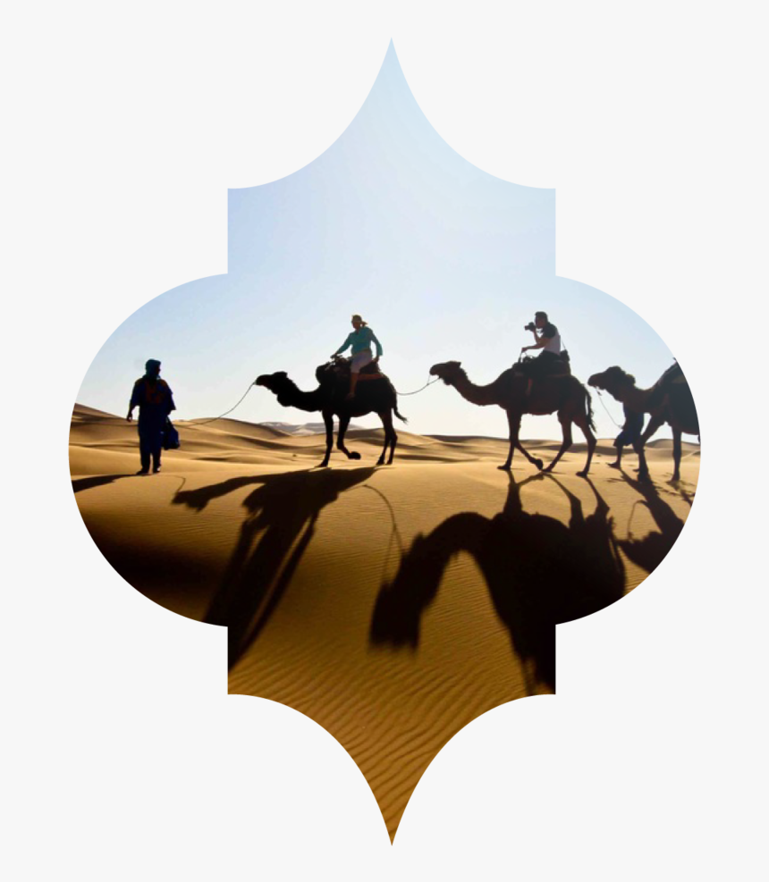 Category Window-18 - Desert Safari Dubai Camels, HD Png Download, Free Download