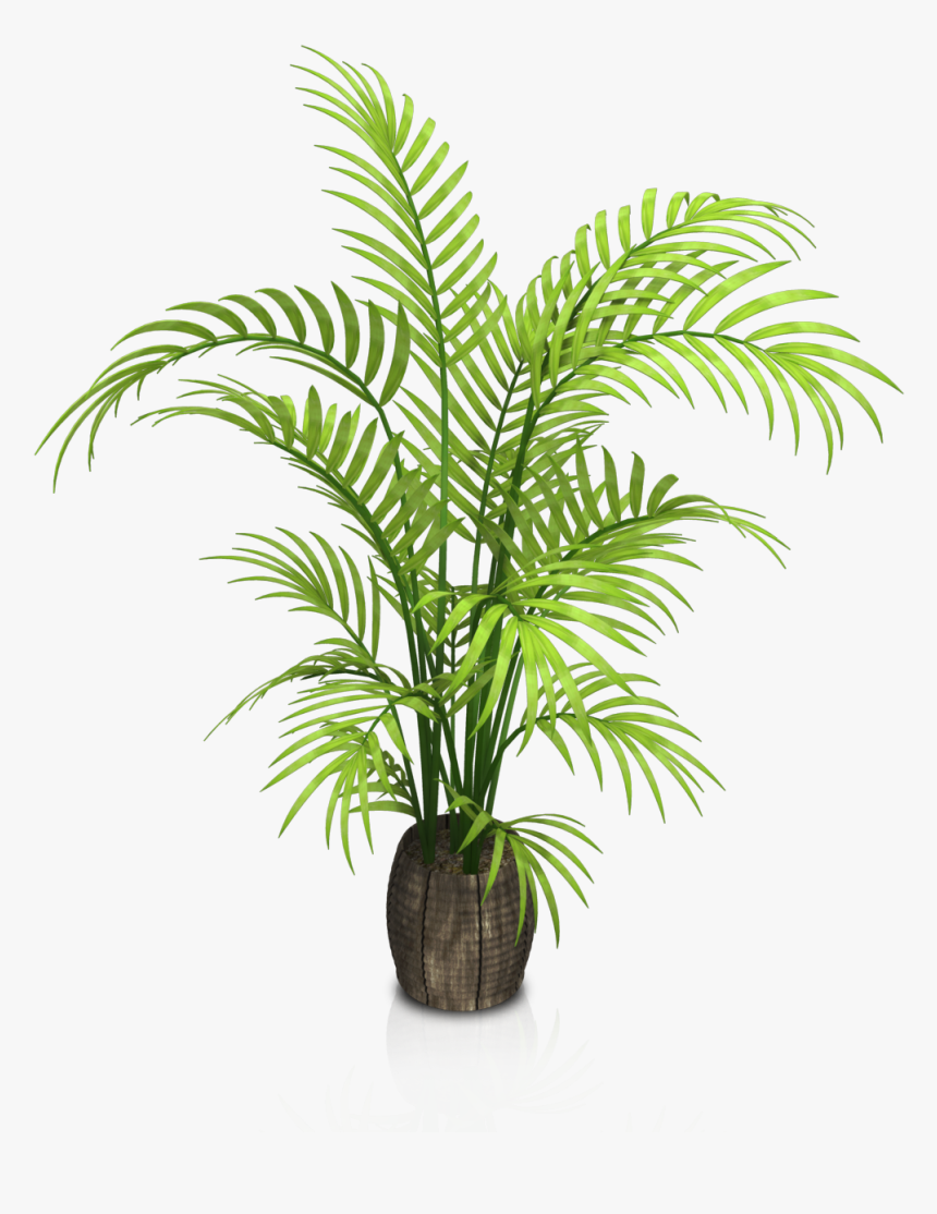 Plant Transparent Png - Potted Plant Transparent Background, Png Download, Free Download