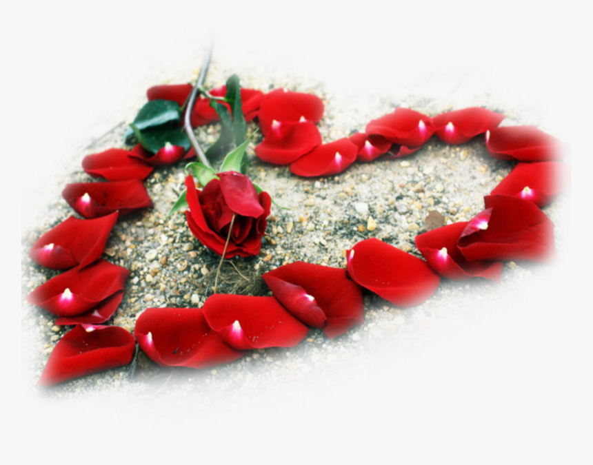 Transparent Rose Heart Png Rose Beautiful Love Flowers Png Download Kindpng