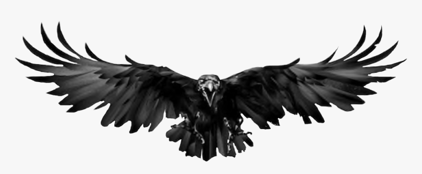 Raven, HD Png Download, Free Download