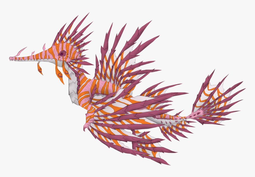 Synglaosu By Setheo - Marine Biology, HD Png Download, Free Download