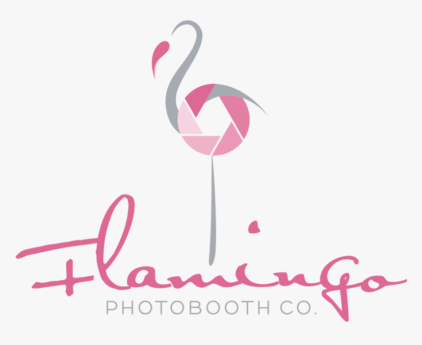 Greater Flamingo, HD Png Download, Free Download