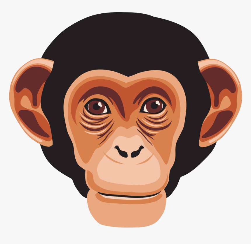 Graphic Library Library Chimpanzee Primate Gorilla - Monkey Face Clipart, HD Png Download, Free Download