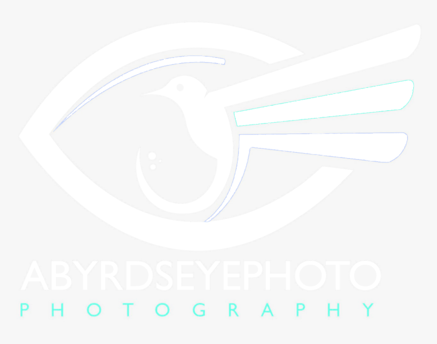 Graphic Design, HD Png Download, Free Download